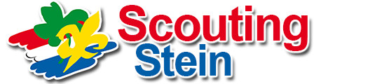 Scouting Stein